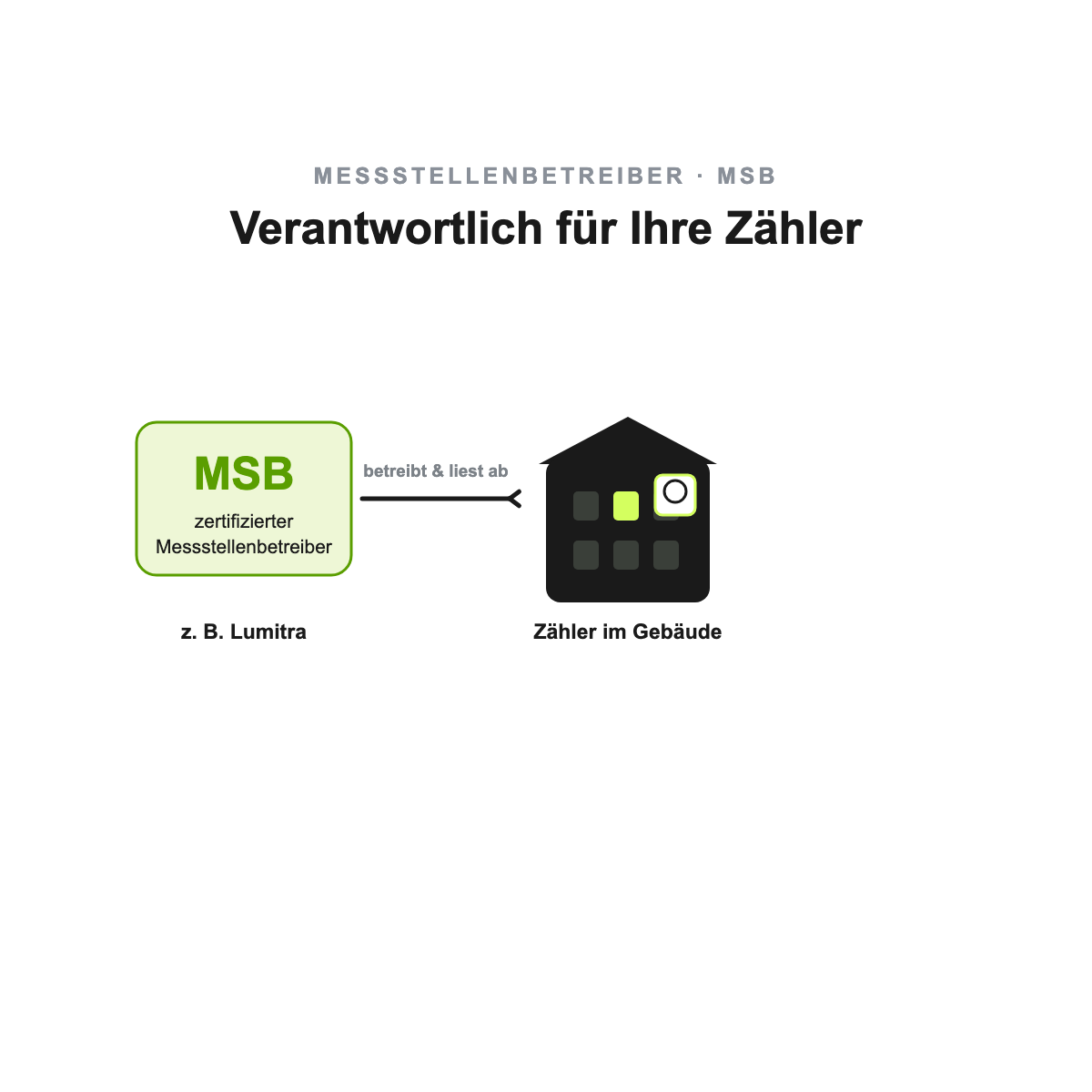 Schaubild Messstellenbetreiber MSB: baut die Stromzähler ein, betreibt sie und liest sie ab